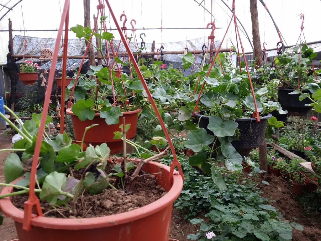 Mangala Flora 호텔 누와라 엘리야 외부 사진